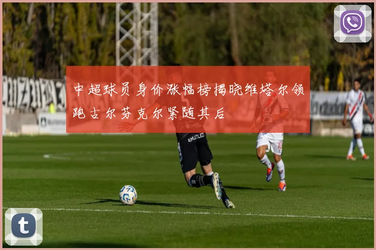 中超球员身价涨幅榜揭晓维塔尔领跑古尔芬克尔紧随其后