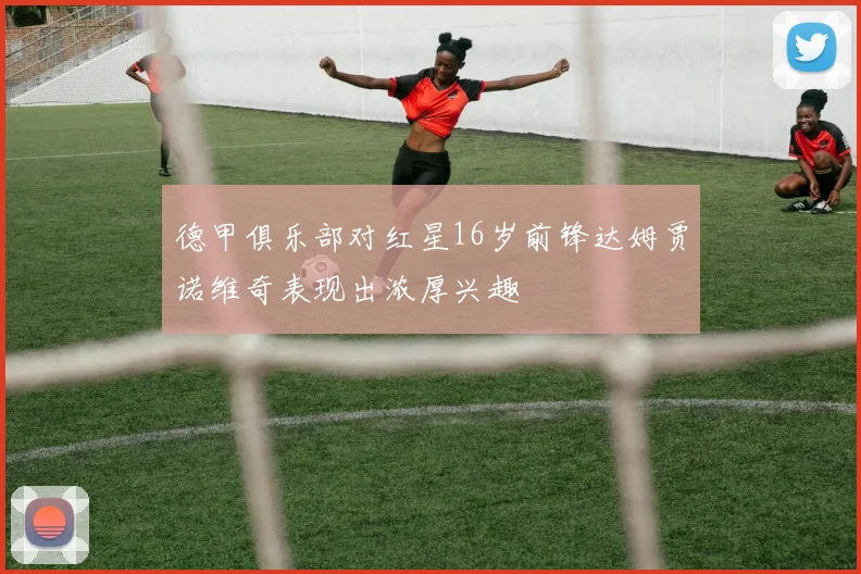 德甲俱乐部对红星16岁前锋达姆贾诺维奇表现出浓厚兴趣