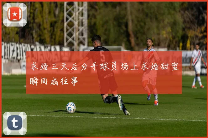 求婚三天后分手球员场上求婚甜蜜瞬间成往事